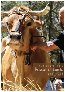 Nutiziale di u Paese di Lumiu - Estate 2018