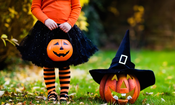 ALSH A ZITELLINA OTTOBRE 2020