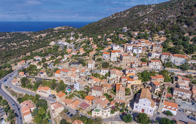 PLU - MARZU 2022 PLU - MARZU 2022