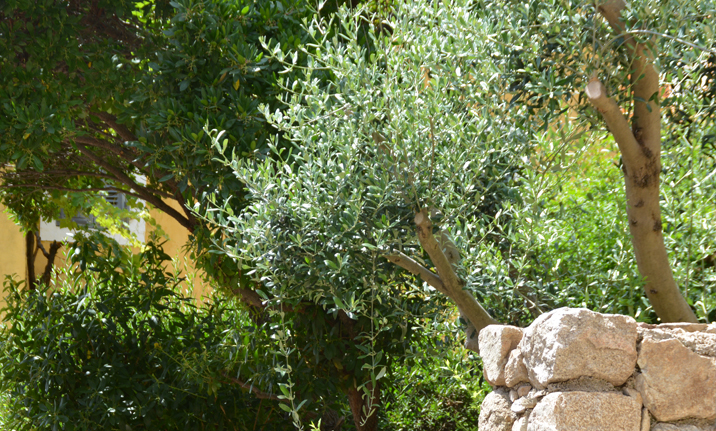 INCHIESTA PUBBLICA PER U PPRIF INCHIESTA PUBBLICA PER U PPRIF