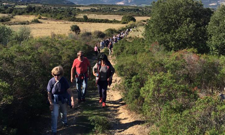 Marche bleue organisée par le CCAS : un succès éclatant