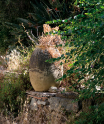 ASSOCIU FUNDIARIU DI I PRUPIETARII ASSOCIU FUNDIARIU DI I PRUPIETARII