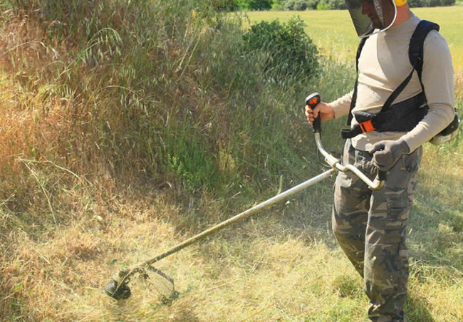 Crédit Photo : Fotolia Crédit Photo : Fotolia