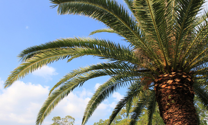 Crédit photo : Fotolia Crédit photo : Fotolia