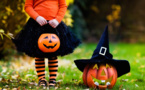 ALSH A ZITELLINA OTTOBRE 2020