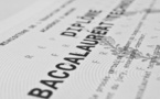 BACCILLIERI 2019