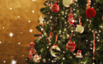 Natale in Lumiu : l’arbre de vie, l’arbre de paix